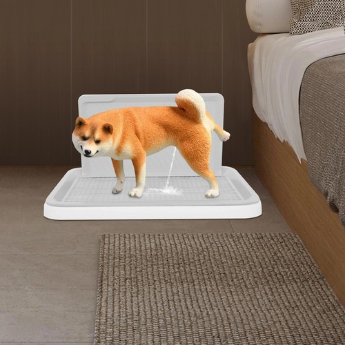 Pet puppy dog loo pee - pet, training