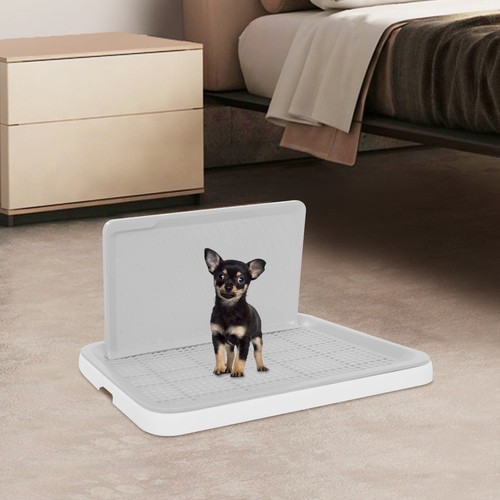 Pet puppy dog loo - dog, training