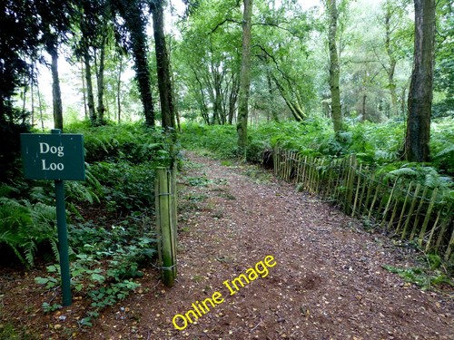 Photo 6x4 dog loo peatlands - dog,