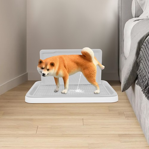 Pet puppy dog loo pee - dog,