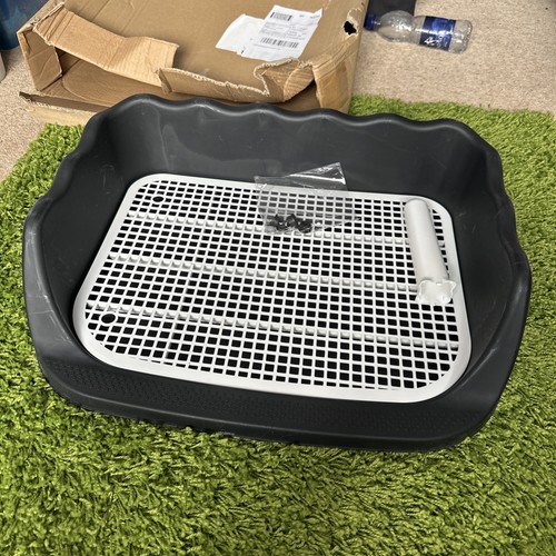 Large pet puppy - large, loo