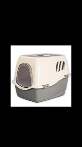 Big cat loo small - big,