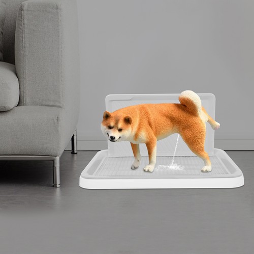 Pet puppy dog loo pee - puppy,